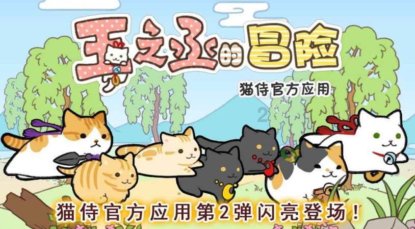 春雨直播app