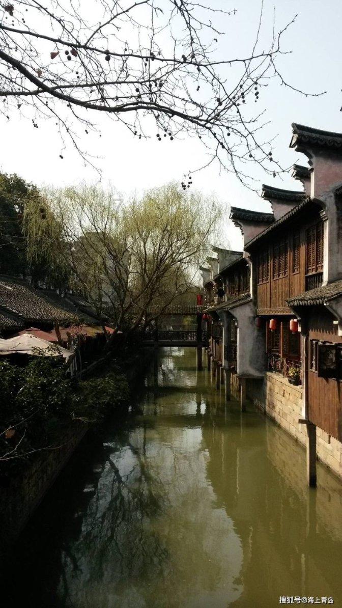 救援蓝色小鱼